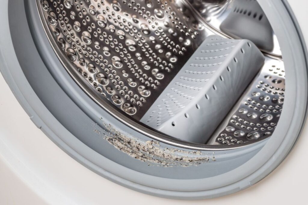 How To Remove Mold From Washing Machine Rubber Seal