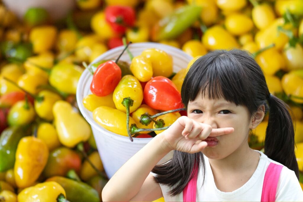 Pepper Smell In House? 4 Possible Causes And Solutions