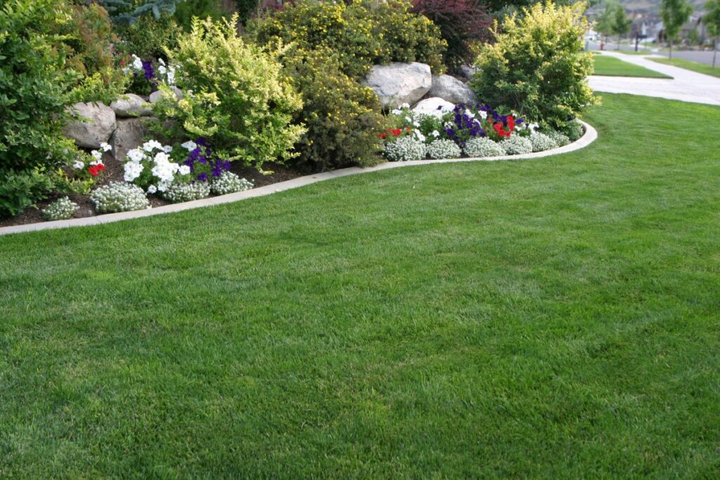 Who To Hire To Regrade Yard? Refresh Your Garden Now!