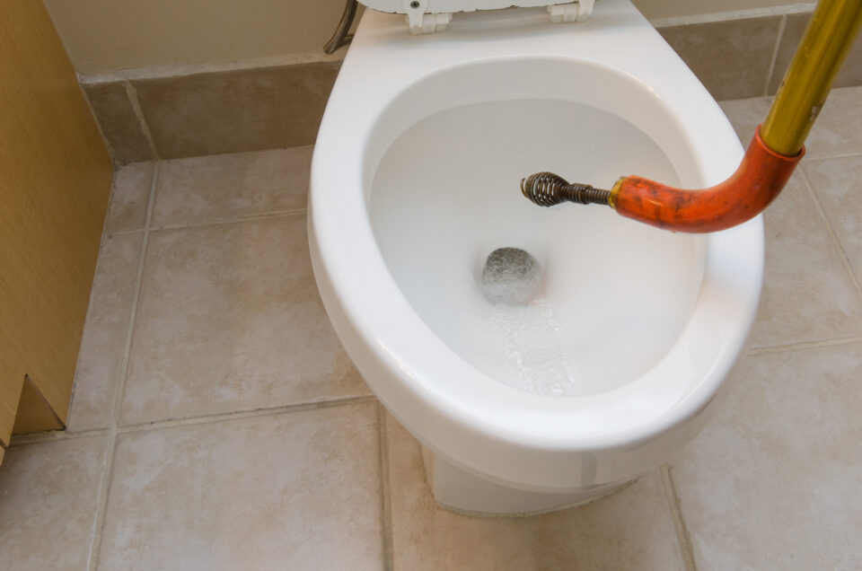 Auger Stuck in Toilet? Navigating the Best Solutions Glamorous Place