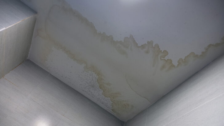 Bathroom Ceiling Drywall: Everything You Need To Know! - Glamorous Place