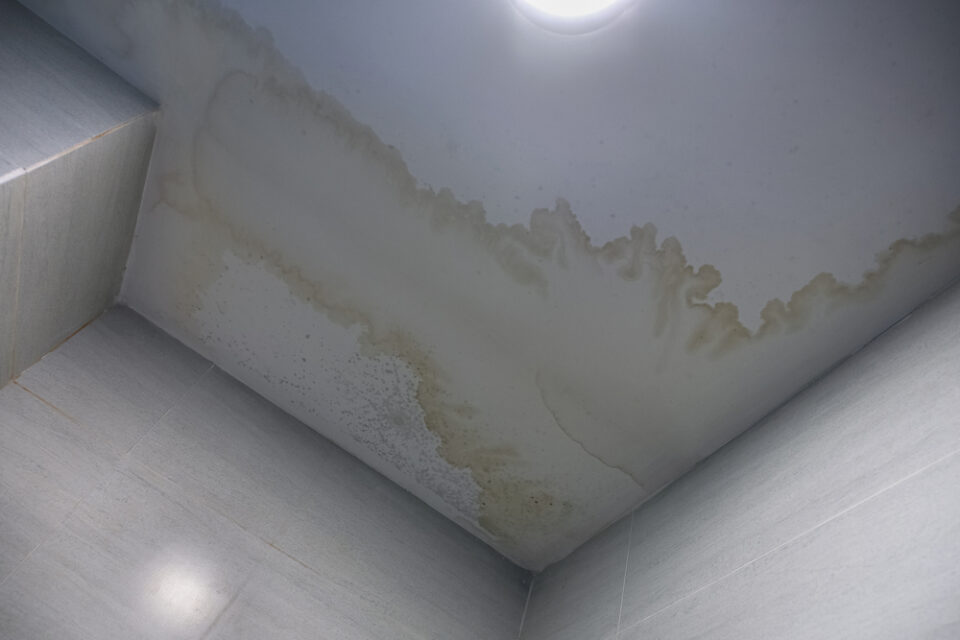 Brown Spots on Bathroom Ceiling: Let’s Fix It! - Glamorous Place