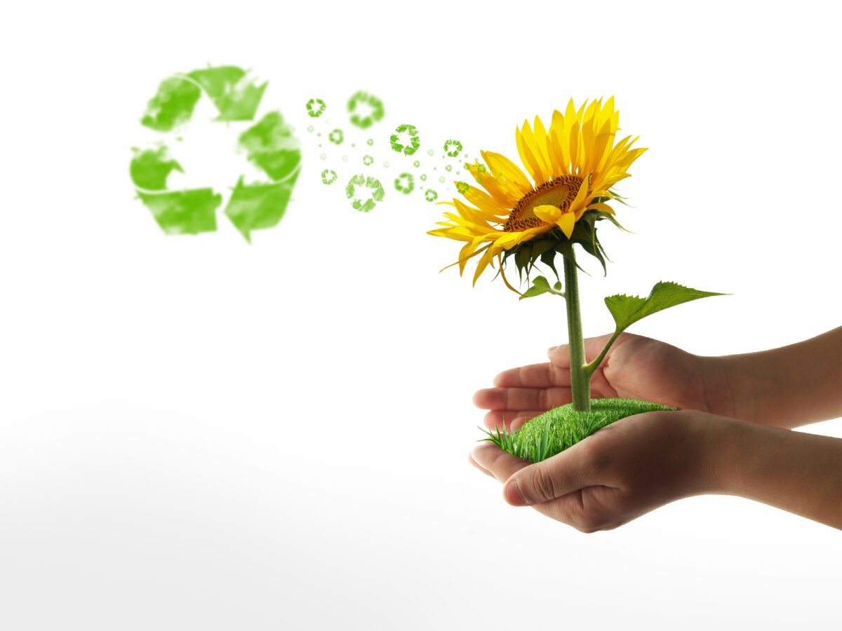 Can You Flush Oil Down the Toilet? The Damaging Effects Glamorous Place