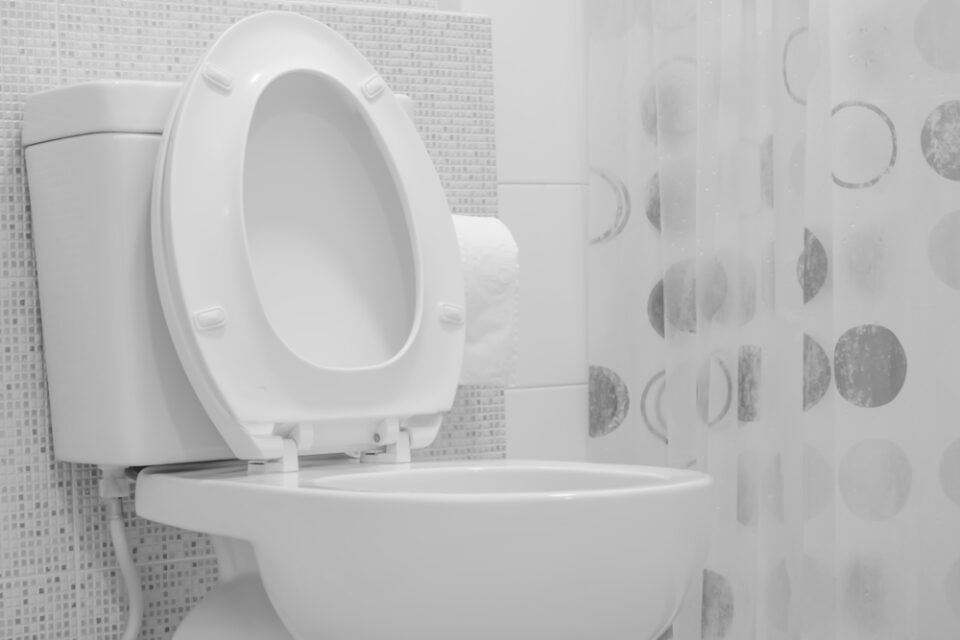 How To Vent a Saniflo Upflush Toilet the Simple Way Glamorous Place