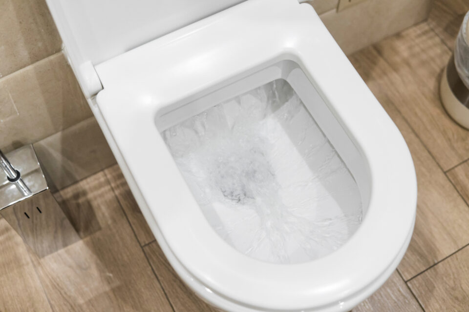 Tiny Air Bubbles in Toilet Bowl Troubleshooting and Fixes Glamorous