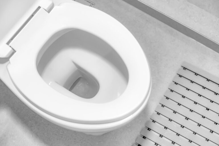 Water Disappearing From Toilet Bowl Causes and Solutions Glamorous Place