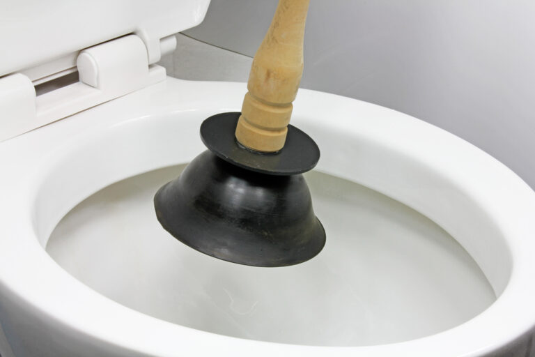 Water Disappearing From Toilet Bowl Causes and Solutions Glamorous Place