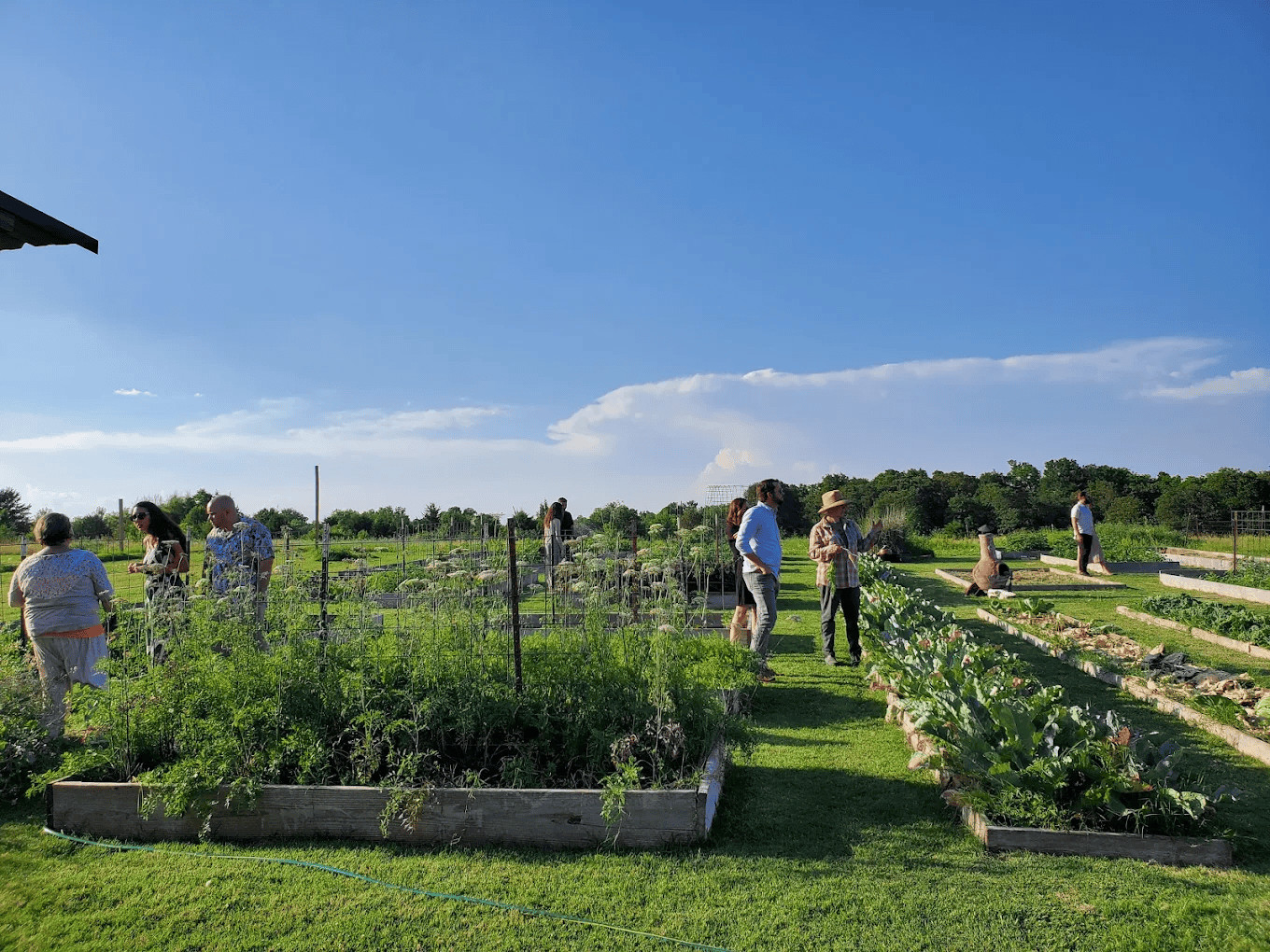 living-kitchen-farm2