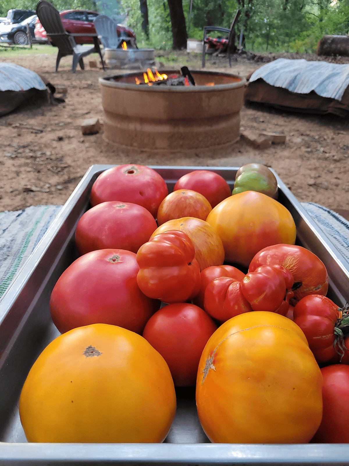 living-kitchen-farm8