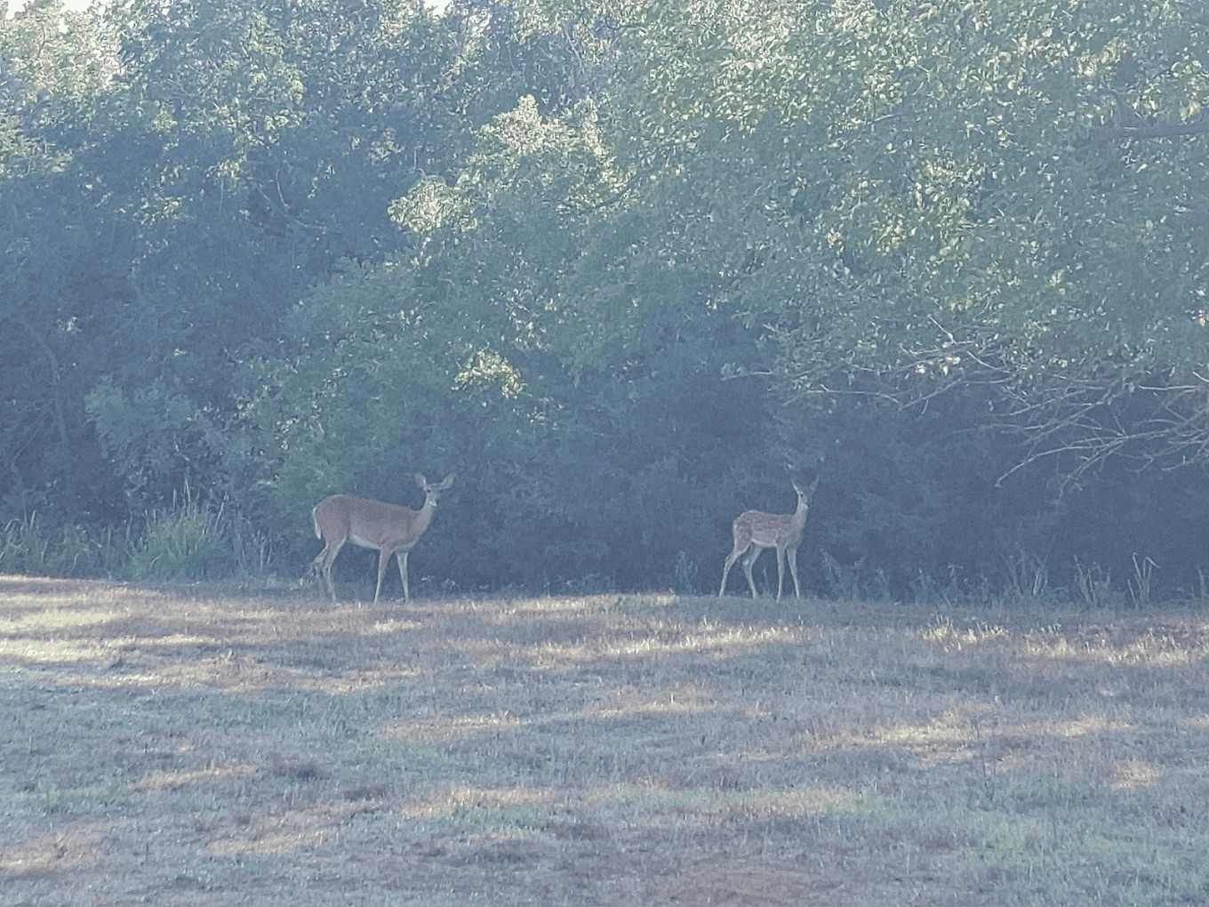 fort-cobb-lake6