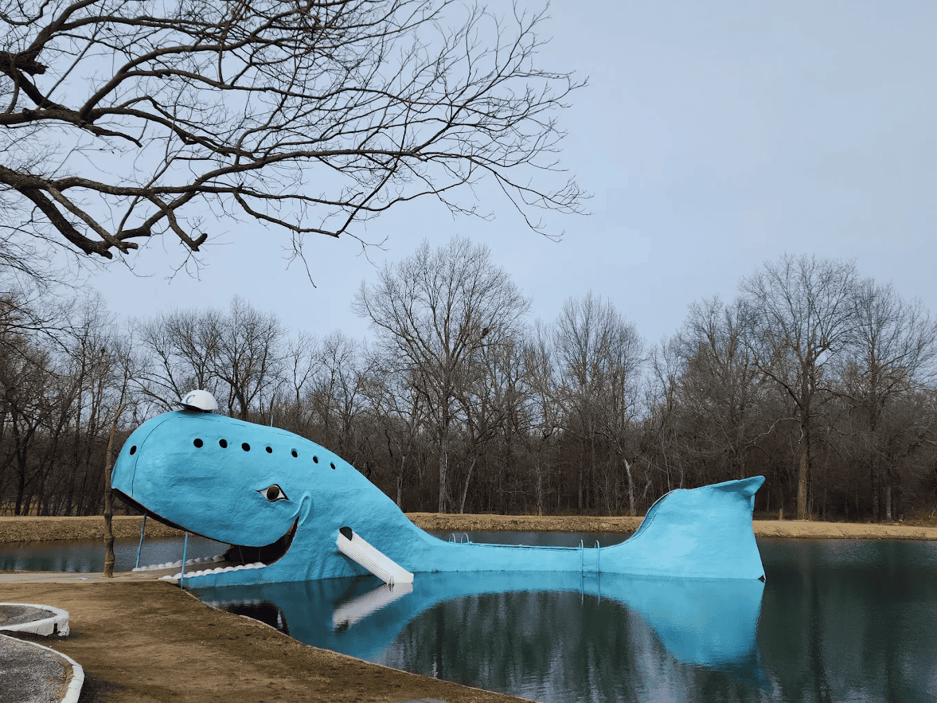 blue-whale2