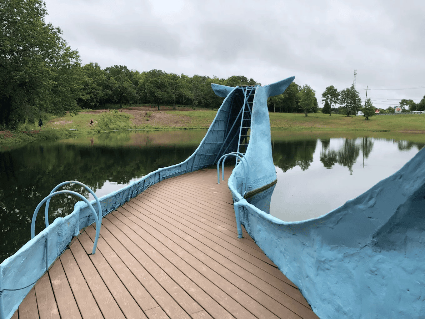 blue-whale5