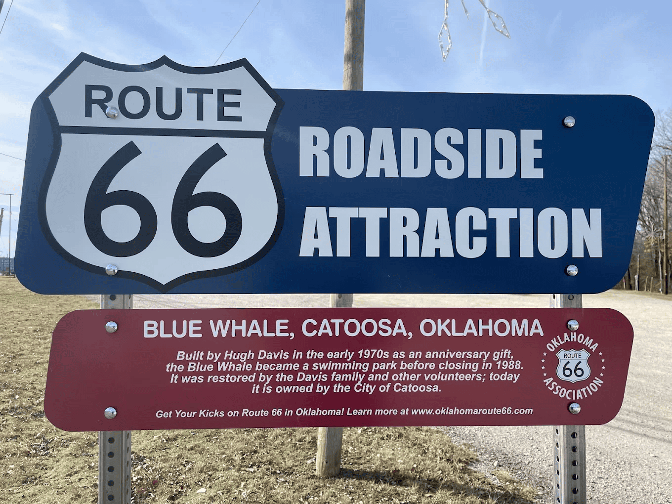 blue-whale11