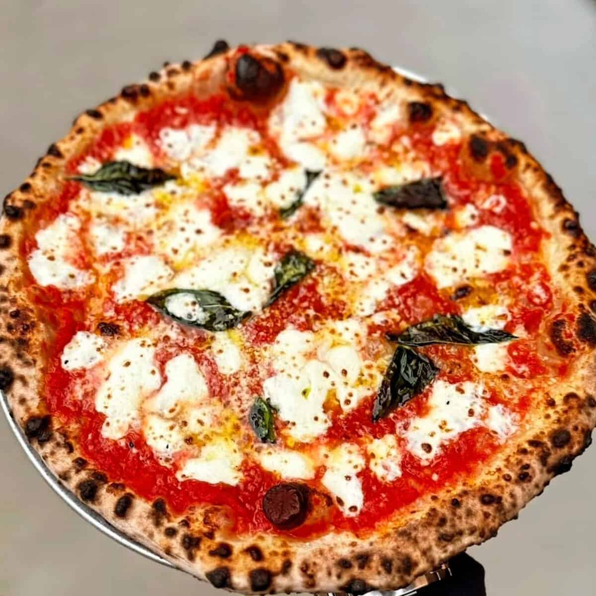 Saucee Sicilian6