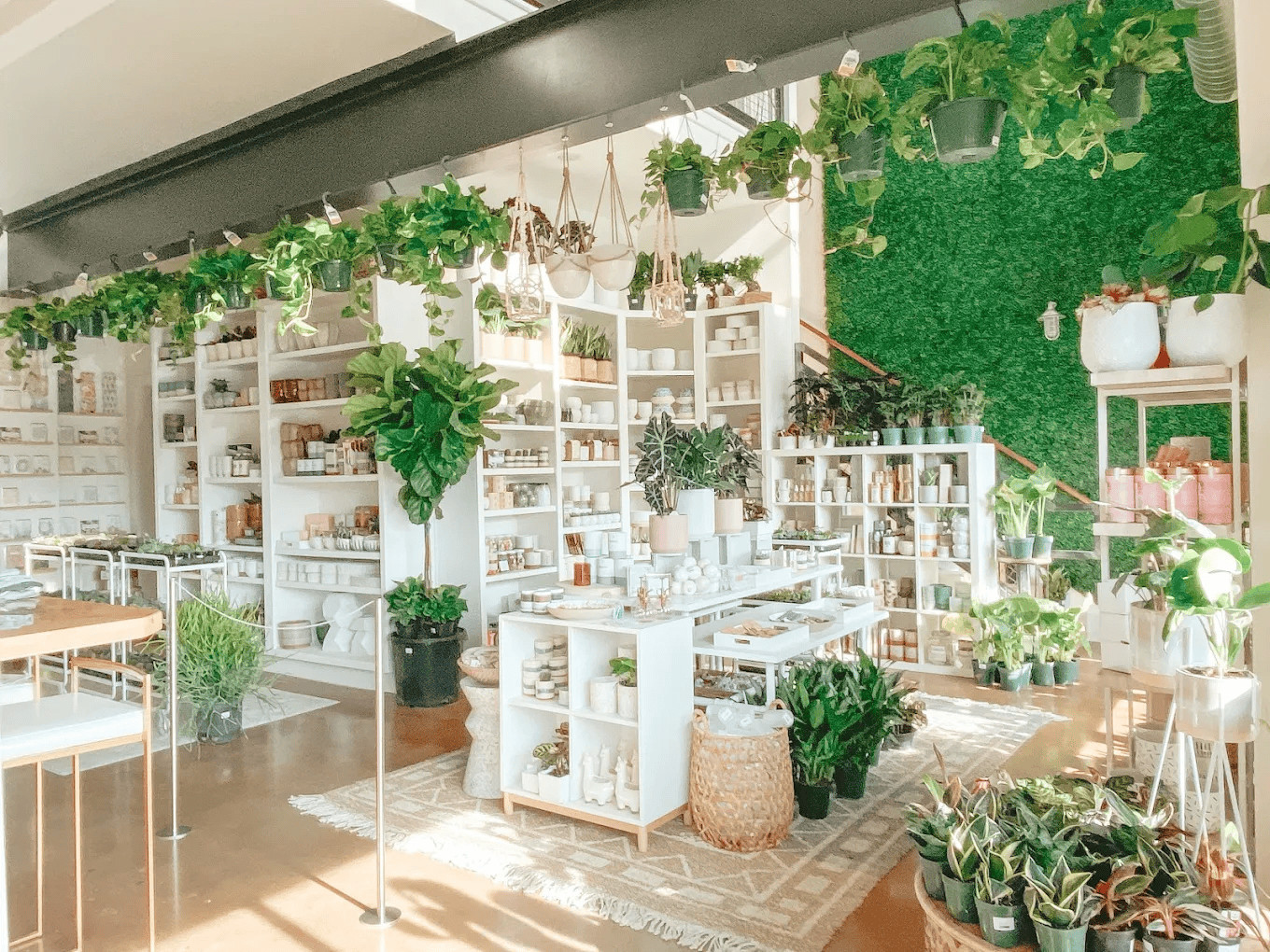succulent-shop10