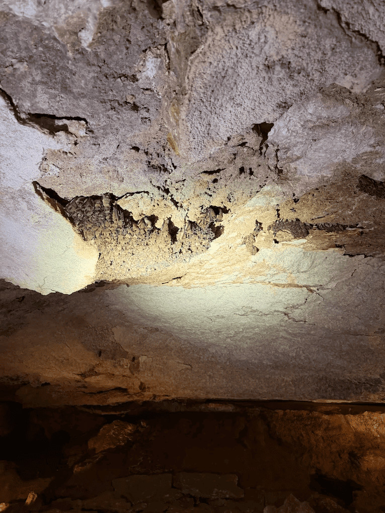 Alabaster Caverns State Park4