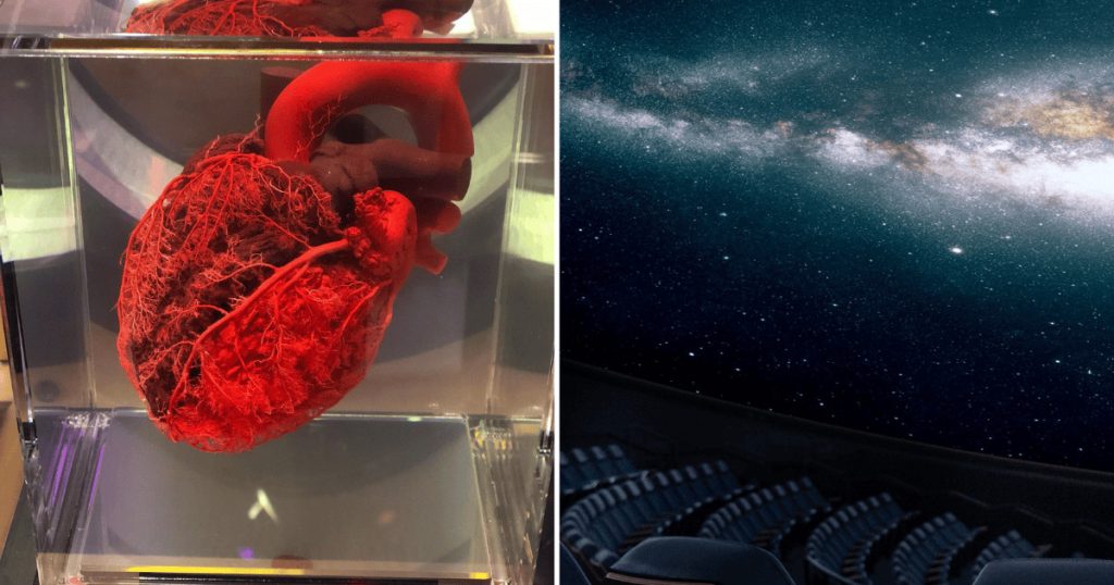 10 Mind-Blowing US Science Museums Worth Building a Trip Around