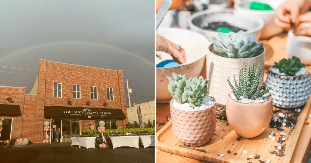 This Charming Oklahoma Boutique Turns Plant Shopping Into a Full-On Hangout