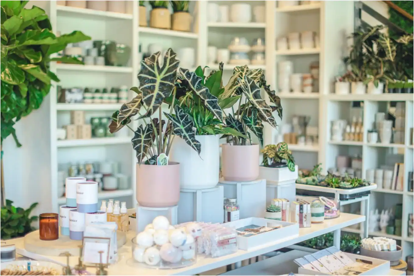 succulent-shop2