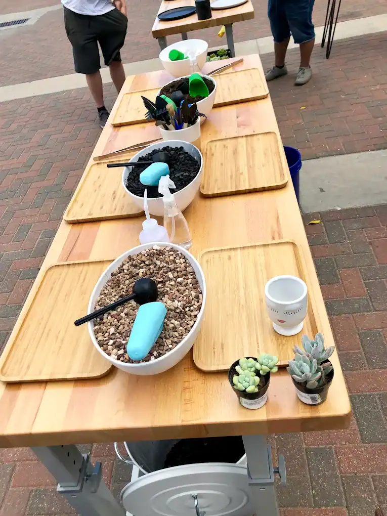 succulent-shop9
